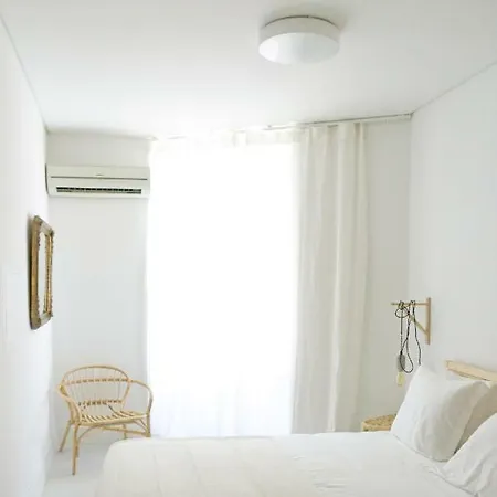 舒适里斯本 - 绿色窗口公寓 *